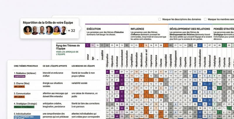Exemple de matrice Team Grid Gallup : Cartographie des talents d'une équipe performante